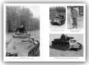 Im Panzer - Ich habe überlebt- Stationen und Impressionen des Lebensweges eines Panzersoldaten der deutschen Wehrmacht (A. Böttger)